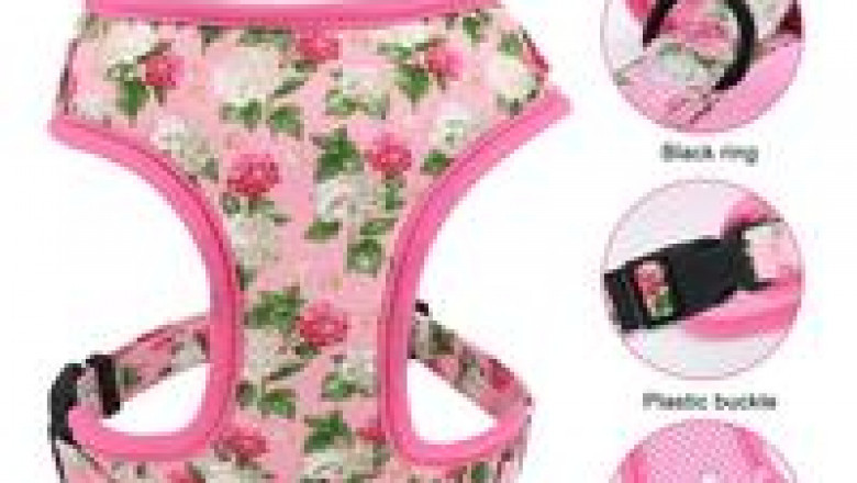 Free Engraving | Personalized Dog Collar Leash Harness Set Nylon Small Large Dogs ID Collars Pet Vest Harness Lead Belt Rope Flower Accessories