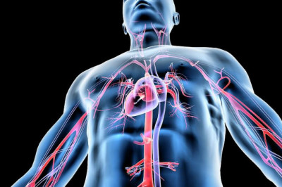 Growth in Sales of Cardiovascular Information System Market to be Largely Driven by Rising Consumer Adoption