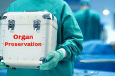 Organ Preservation Solutions Market Grows With Changing Consumer Preferences & New Opportunities