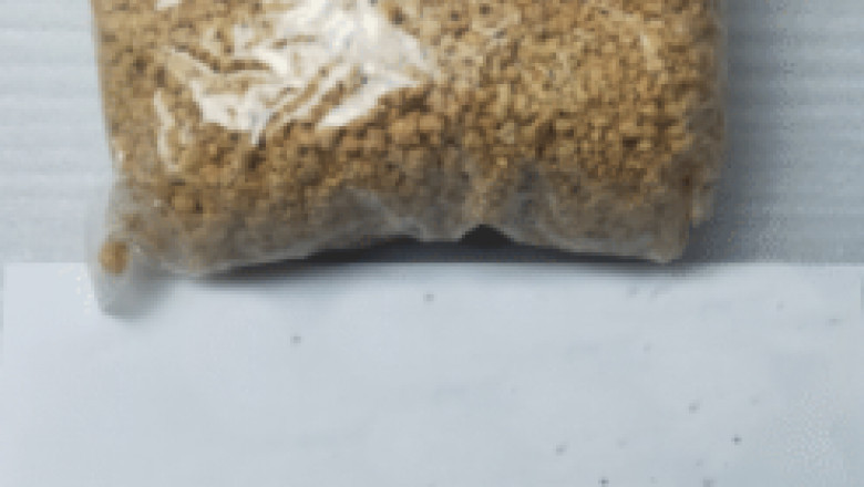 WhatsApp +8616238659219 buy-py Cannabinoid | Research Chemicals