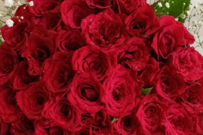 5 Types of Birthday and Anniversary Flowers