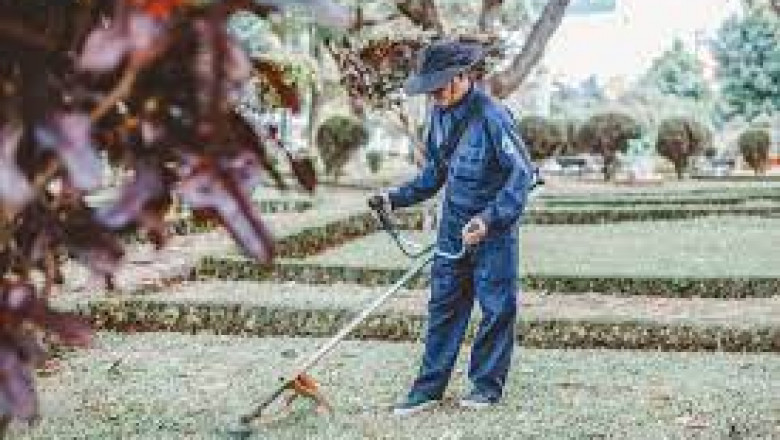 Best Landscapers & Gardeners North Shore, Sydney, Australia