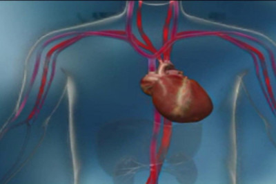 Cardiac Assist Devices Market Poised To Garner Maximum Revenues During 2026