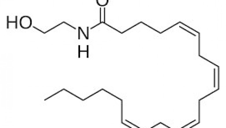 Fatty Amides Market Sales Forecasts Reveal Positive Growth Through 2027