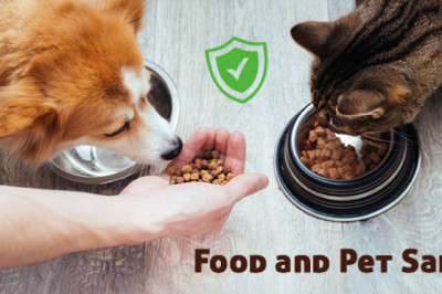 Food and Pet Safety