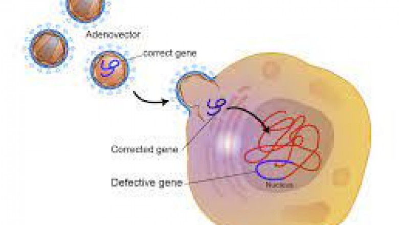 Gene Therapy Market :Dynamics Influencing Revenue Growth During Forecast (2018-2026)