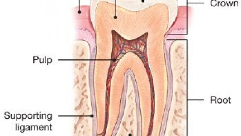 Santee Dentist Office | Dental Express