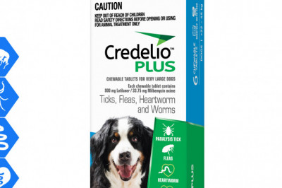 Credelio Plus All round parasite protection for 22 to 45 Kg Dogs