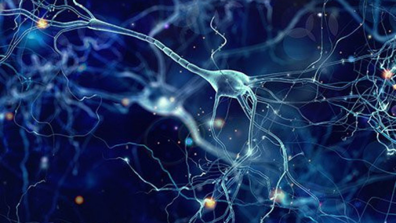 Progressive Supranuclear Palsy Treatment Market Outlook And Opportunities In Grooming Regions