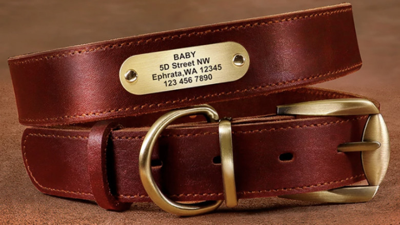 Puppy collar | Free Engraving on Leather Dog Collar, Durable Leather Collar, Personalized Leather Collar, Genuine Leather Collar, Leather ID Collar
