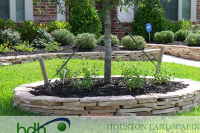Top Spring Landscapers | Affordable Backyard Landscaping