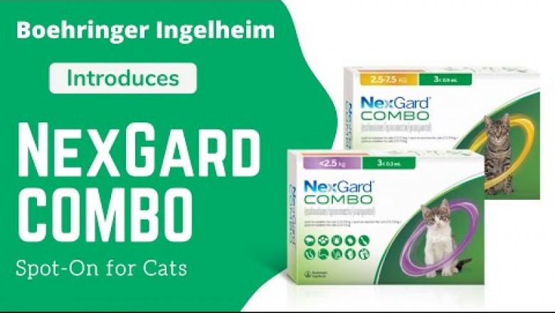 Boehringer Ingelheim Introduces NexGard COMBO Spot-On for Cats