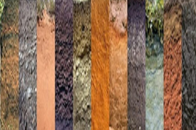 Digital Soil Mapping Market Size, Share, Trend, Growth & Analysis 2026