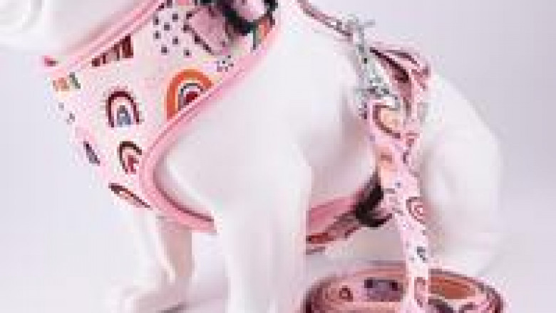 Free Engraving | Trendy Rainbow Dog harness for big, small dog by cotton with Leash | Personalized Bow Dog Collar Leash Set