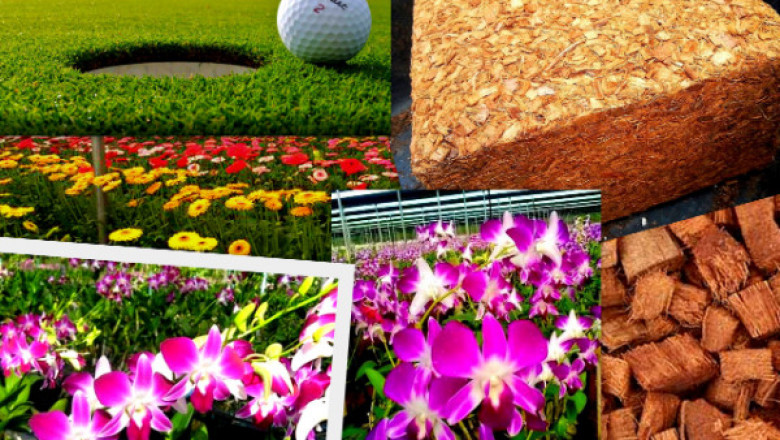 Why you should use coir peat and coco chips