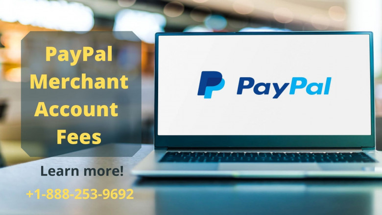 Learn about PayPal Merchant Account Fees