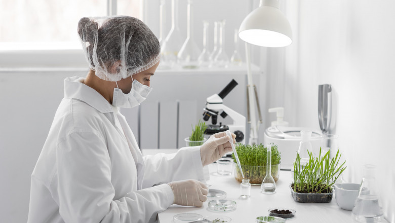 How to create a new drug with the help of CDMO?