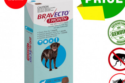 BRAVECTO 1 month chews Flea and Tick Control for 20-40 Kg dogs