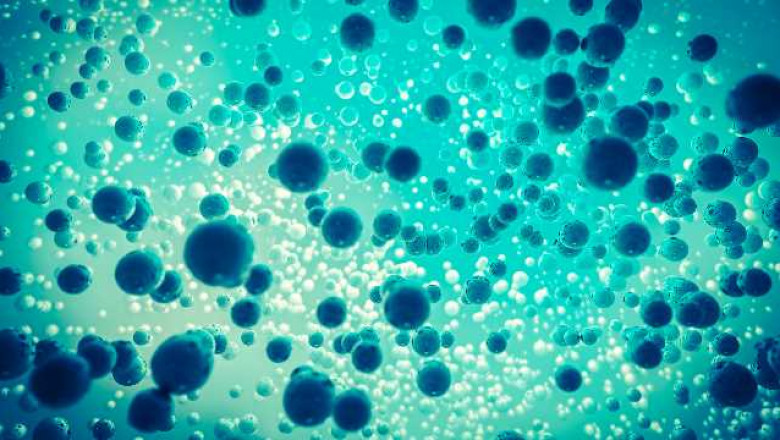 Cell Isolation Market Coronavirus (COVID-19) Impact Analysis with Business Opportunities, Survey And Growth Forecast 2027