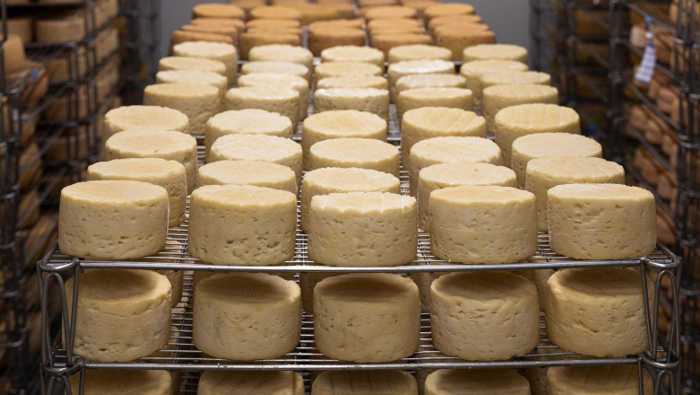 Cheese Buds Market - Global Industry Analysis 2027