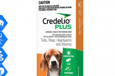 Credelio Plus Allrounder parasite protection for 5.5 to 11 Kg Dogs