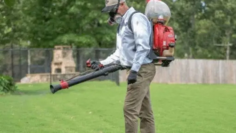 Get a Thorough Termite Inspection from a Trusted Company