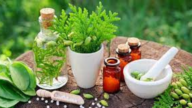 herbal medicines market Share, Competitor Strategies, Investment Opportunities, Upcoming Challenges, Growth Forecast, Current Trends and Analysis of COVID-19 | 2027
