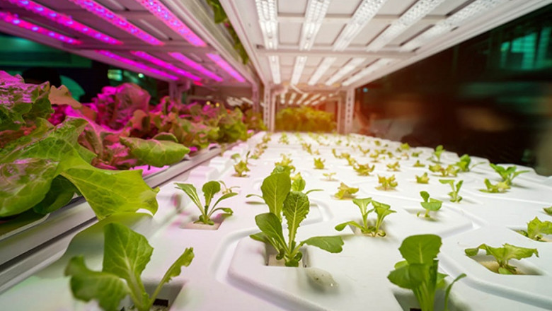 Horticulture Lighting Market Overview, Analysis forecast to 2027