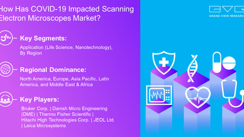 Scanning Electron Microscopes Market is Projected to Register 8.52% CAGR till 2028