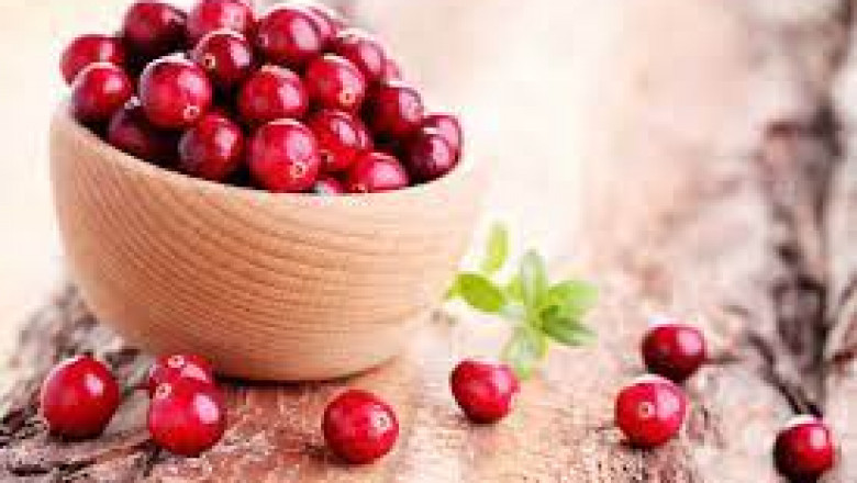 What's Driving Cranberry Extract Market Trends? Key Company Profiled In RB, Amway