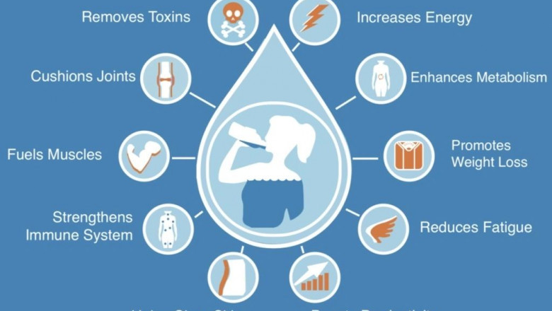 Why Insulated Water Bottles Are Good Tools