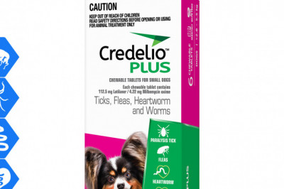 Credelio Plus Allrounder parasite protection for 2.8 to 5.5 Kg Dogs