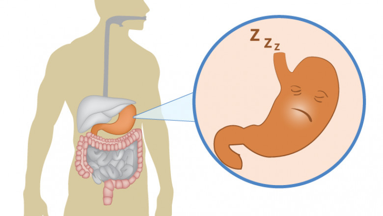 Gastroparesis Treatment Market Trends, Demand, Segments, Key Player Analysis and Comprehensive Research Study by 2027