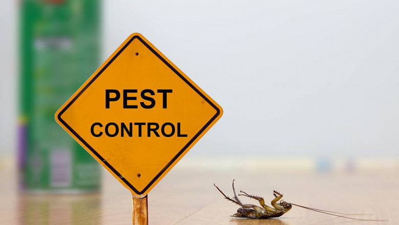 PROFESSIONAL PEST CONTROL NOIDA