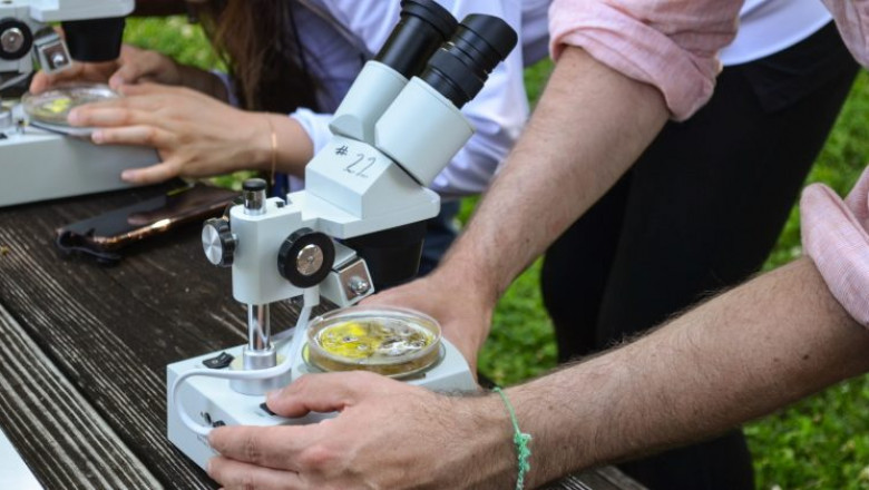 Using Stereoscopic microscopes allows for two-dimensional viewing, which is one of the best things about them