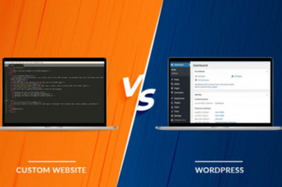 Custom Web Development or Wordpress?