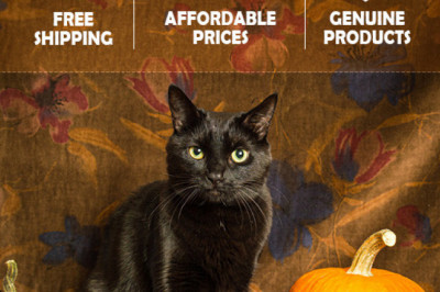 PetLoversAU- eBay's best store, is offering Halloween treats for your pets.