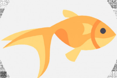 “Fishwaale”, Another Example Of Modernization With Innovation