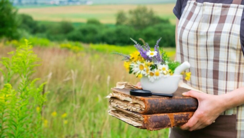 Herbs For Female Reproductive Health - List of Herbs For Female Reproductive Health