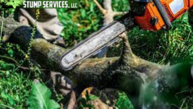 Tree Removal Covington -Acadian Tree and Stump Removal Service
