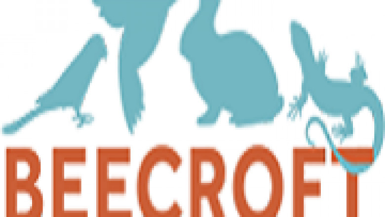 Avian Pet Care Singapore, Bird Veterinary Clinic Singapore