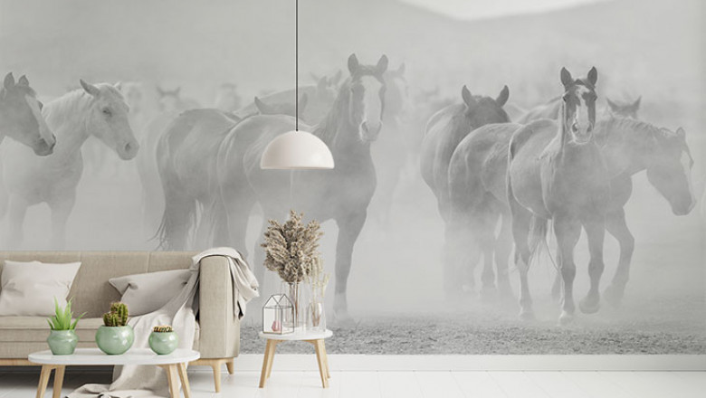 Black and White Horse Peel and Stick Wallpaper Mural by Giffywalls