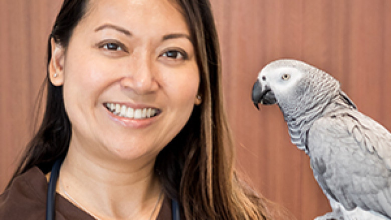 Dr. Rina Maguire - Our Team