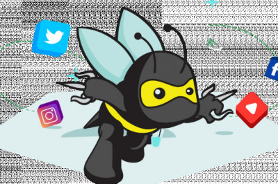 Hiring An SEO Agency? Assessment Will be the Key