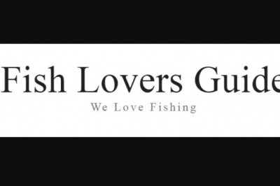 The way to Uncover Fly Fishing Instruction Online