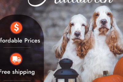 Bargainpetproducts has Halloween deals and discounts on all pet products.