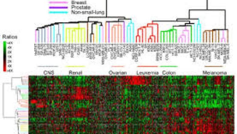 DNA/gene microarray finds application in various fields such as proteomics, genomics, environment, agricultural biology, and others
