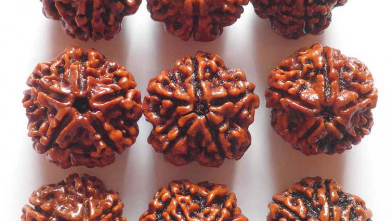 Get Certified Rudraksha Online