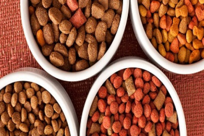 Japan Pet Foods Market To Establish Growth With An Impressive CAGR Until FY2027