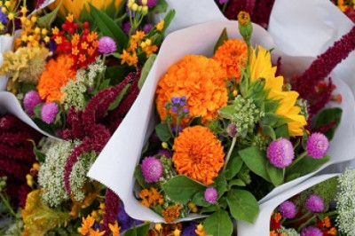 Kenya Floriculture Market Size Trend, Growth Share & Analysis 2026